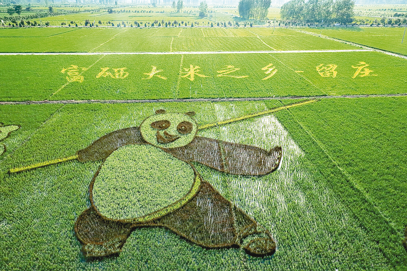 驻马店：奏响文旅文创高质量融合发展新乐章