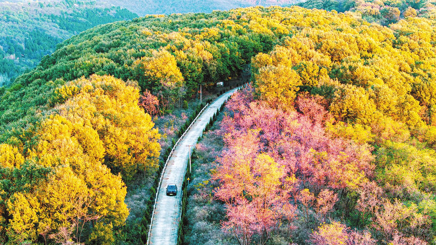 Mountain scenery in Luoyang