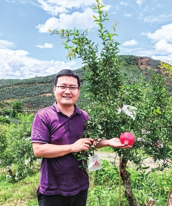 让河南软籽石榴越来越“红”——对话中国农业科学院郑州果树研究所青年专家李好先