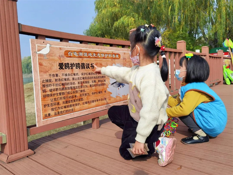 行走河南·读懂中国 | 平顶山：“生态名片”留鸥影