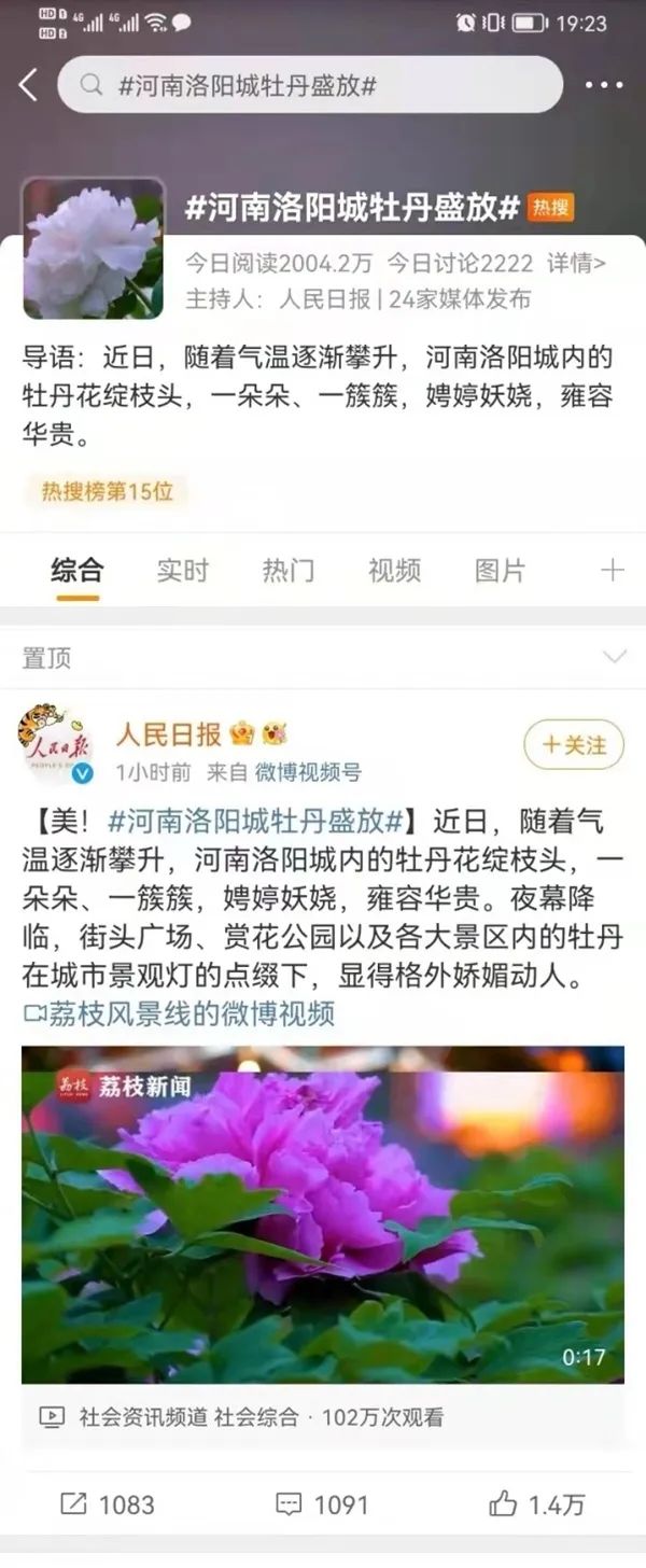 【行走河南·读懂中国】赵立坚推介洛阳牡丹 “云端”绽放受全球热捧