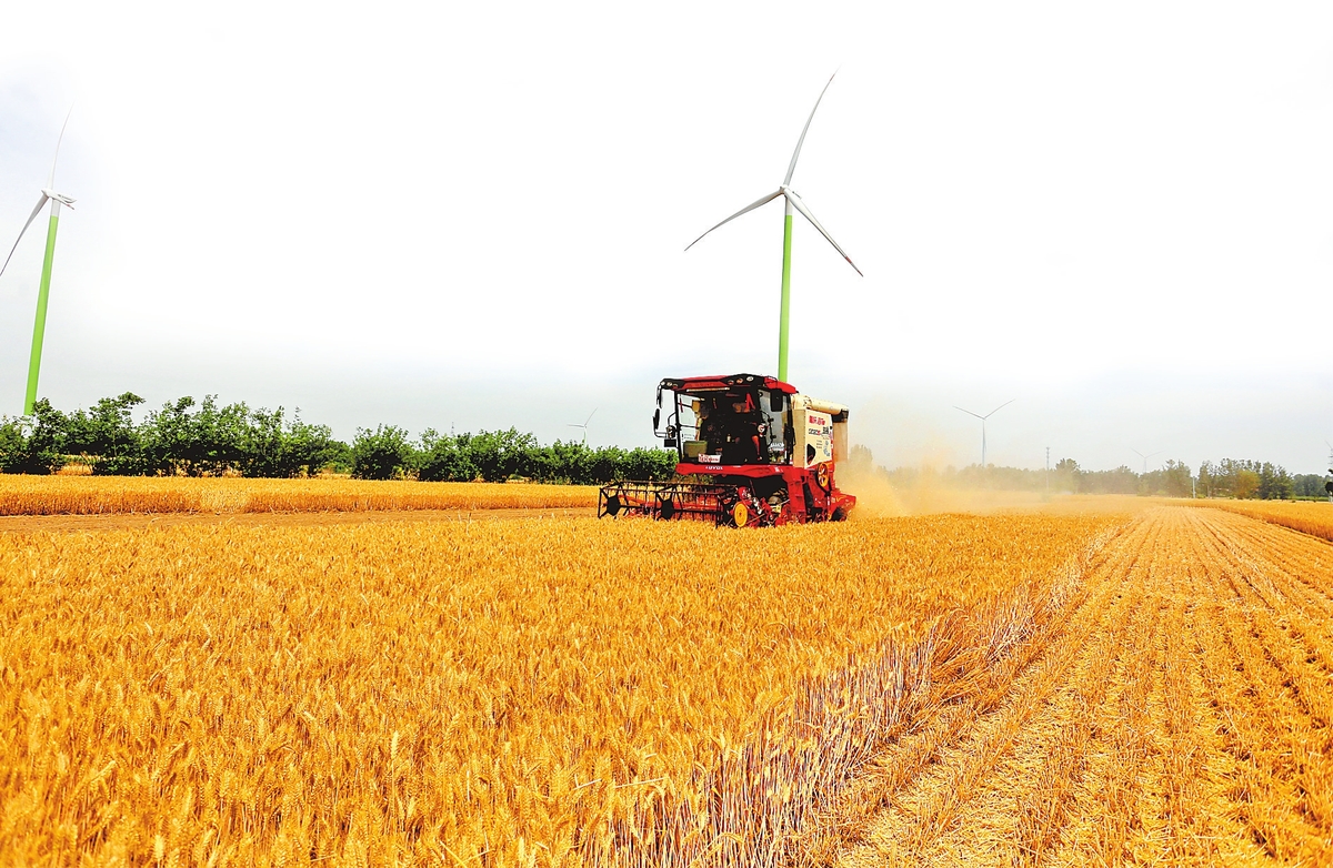 非常之年战三夏