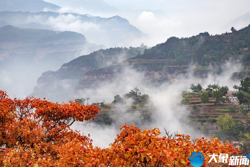 【行走河南·读懂中国】林州:赏红叶、观云海 秋日太行美如画 【行走河南·读懂中国】林州:赏红叶、观云海 秋日太行美如画