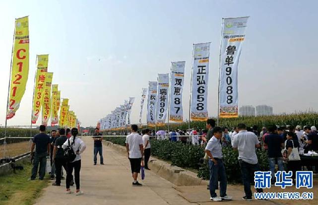 360截图20180913104435384.jpg