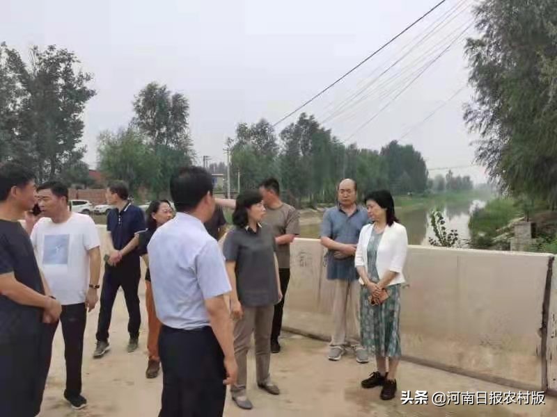 河南省农业农村厅第九指导组到开封开展农业生产救灾指导