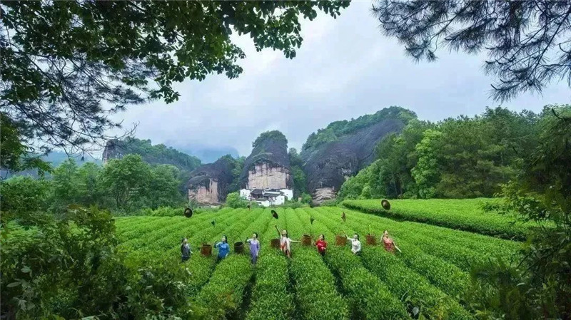 全国旅游市场持续回暖 激发消费新活力