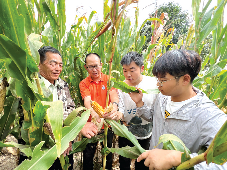 奋进新征程 建功新时代·非凡十年 出彩中原 创新河南 | 破译丰收“密码” 做强粮食“芯片”