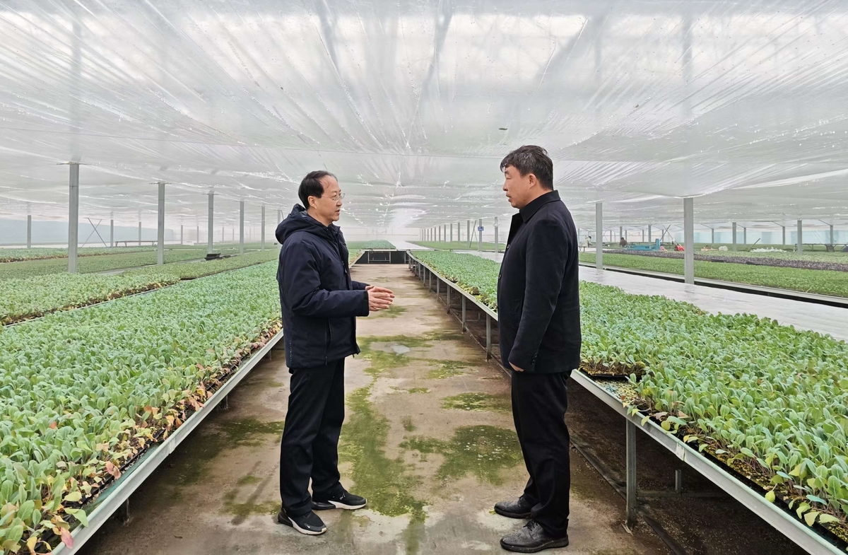 谢长伟到郑州市中牟新区调研 <br>宜居宜业和美乡村先导区建设工作
