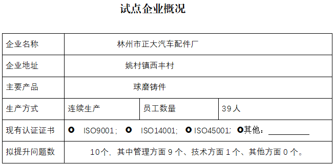 林州正大汽车配件厂