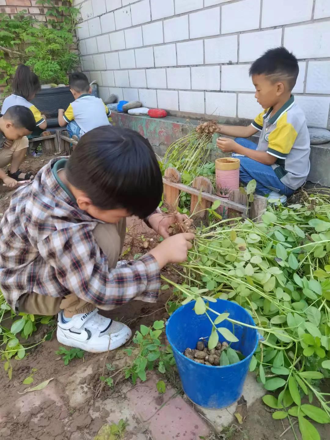 致敬劳动，礼赞丰收