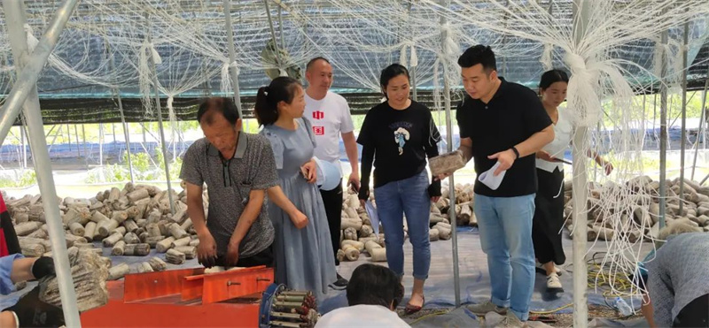 宝丰县文化广电和旅游局开展基层公共文化服务场馆检查等工作