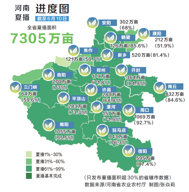 全力以赴战“三夏”丨麦田“双抢”记