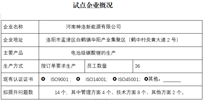 河南神洛新能源有限公司