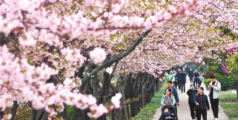 尽享春日美景