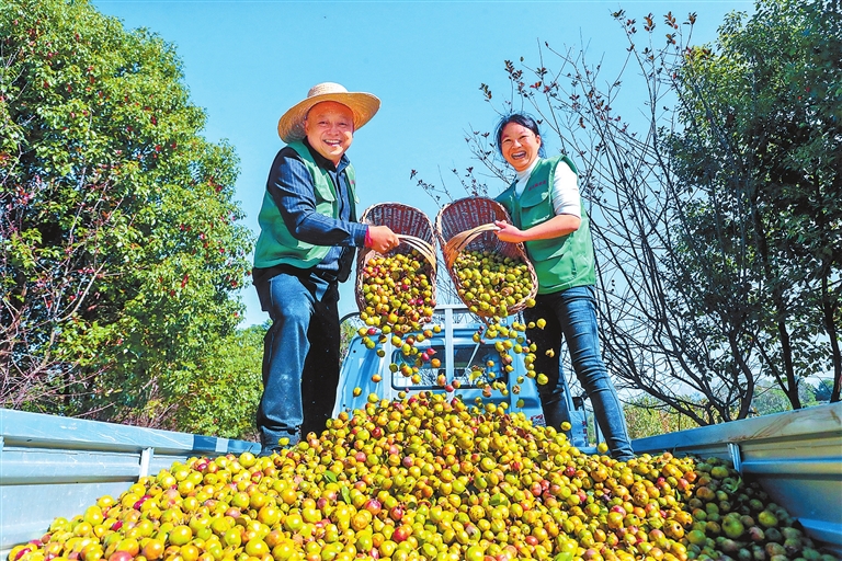 Autumn harvest brings joy to all