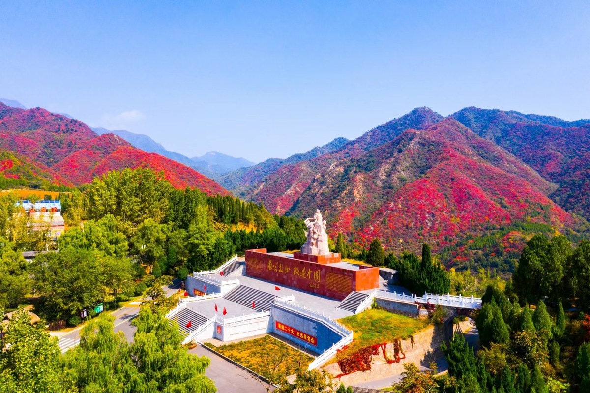 观瞻敬仰，王屋山千年银杏树带你穿越古今~_孑遗植物