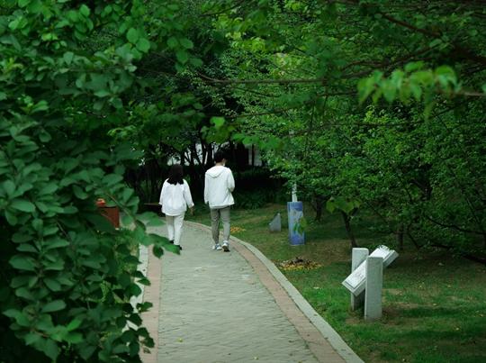 绿博园：花红柳绿翠意浓 夏日旅游正当时