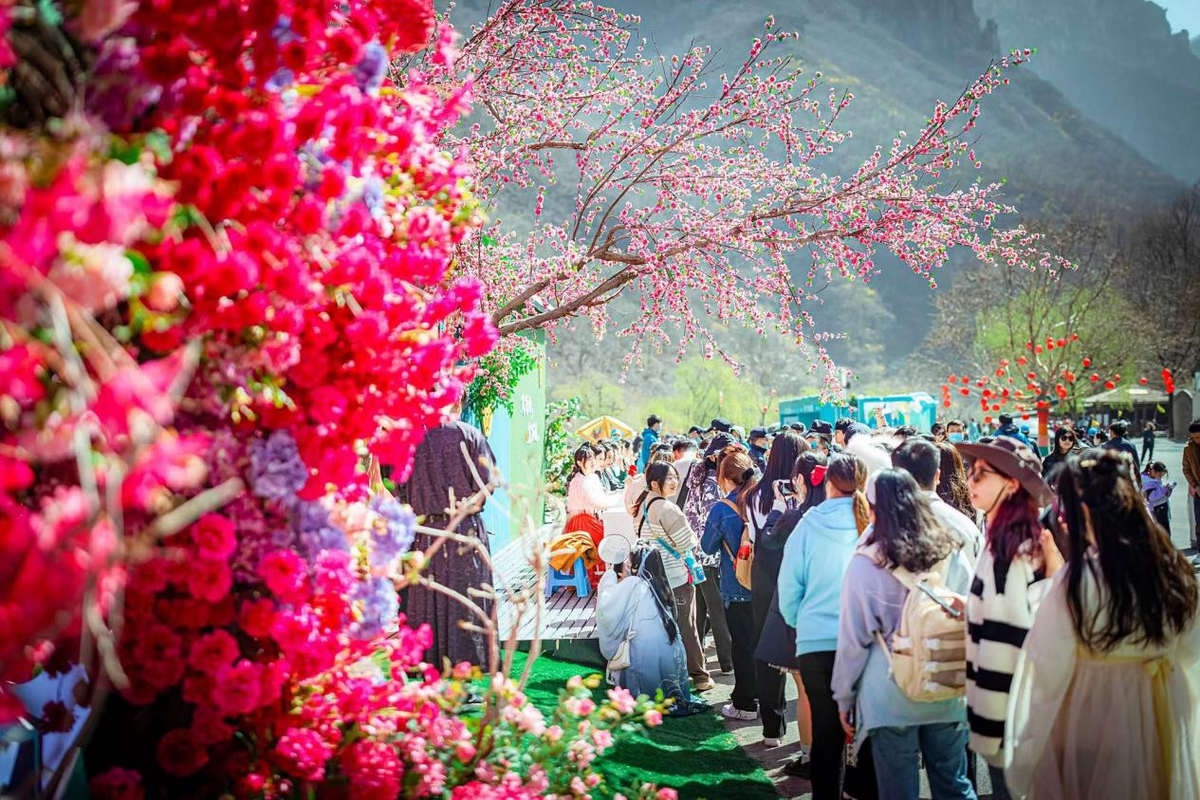 行走河南·读懂中国 | 连续三次上央视 云台山春游市场人气爆棚