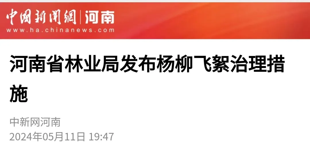 中新网河南丨河南省林业局发布杨柳飞絮治理措施