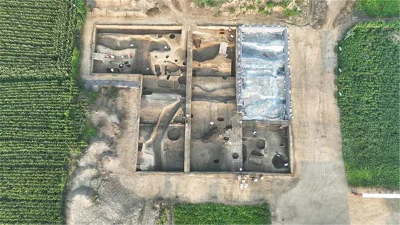 央媒观豫 | 豫东地区考古发现4000年前夏代“粮仓”