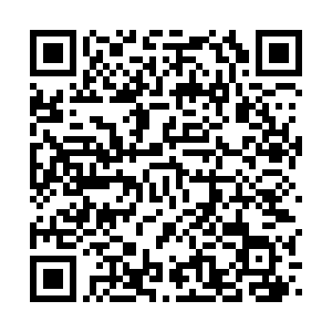 河南省营业性演出准予许可决定（410000522023000177）