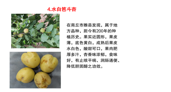 2021年度河南省农作物种质资源普查与收集十大重要成果评选结果揭晓