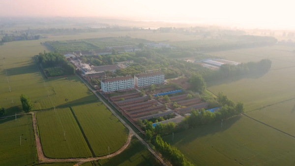 皇沟馥合香之生长养藏——生于黄淮核心名酒带