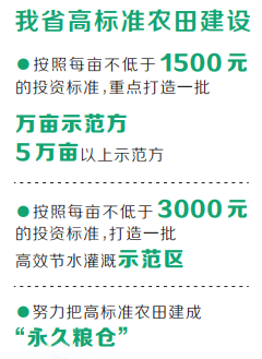 高标准农田建得好 河南省连续两年获国务院督查激励