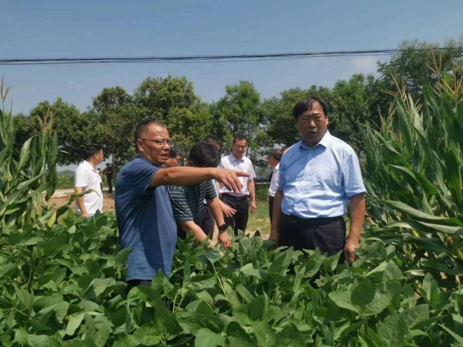 王俊忠赴周口、驻马店调研秋粮和蔬菜生产