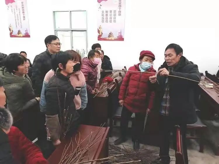 淅川：人勤不负好时光 果树管理正当时