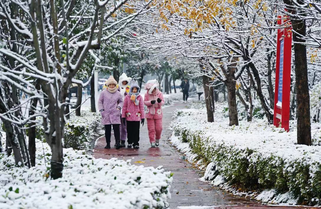 平舆：雪落无声意悠悠