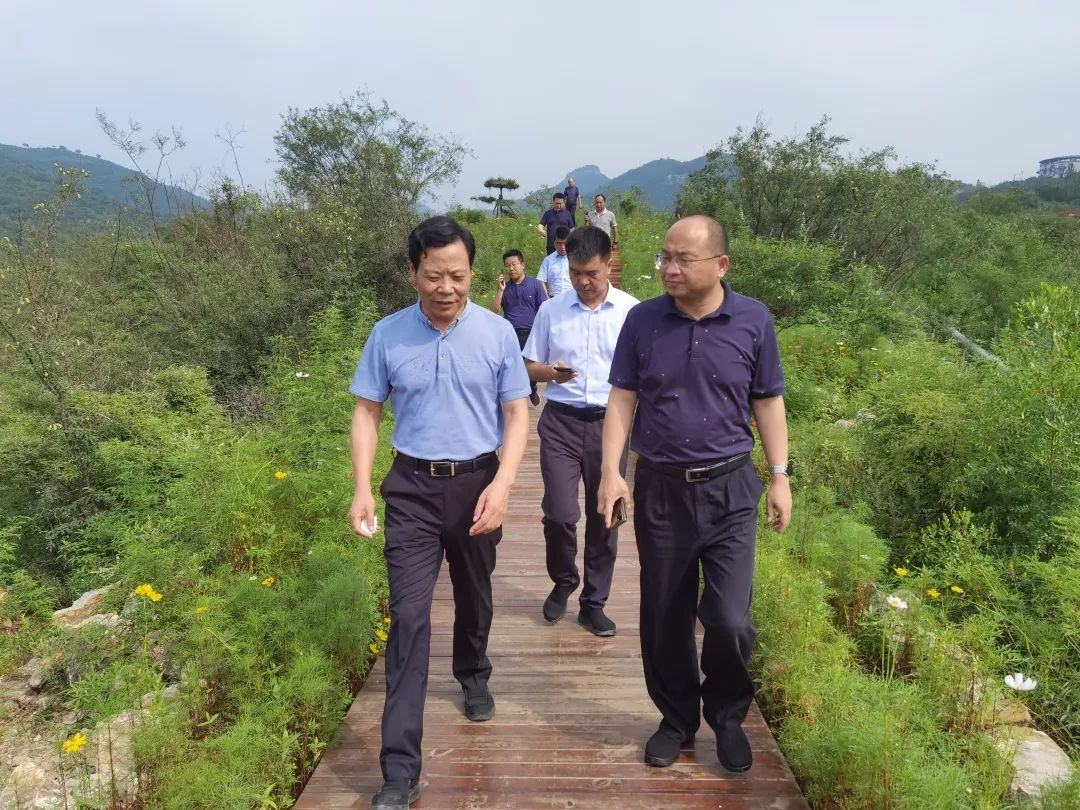 李延庆副厅长调研鹤山区乡村旅游工作