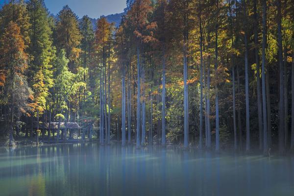 开启湿地保护新篇章 6月1日起这部法律正式实施