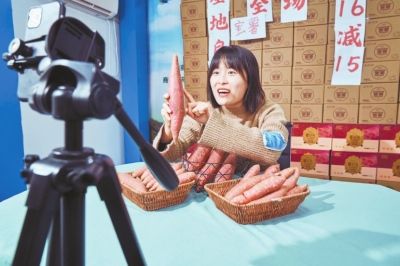 借短视频直播走向全国开封小蜜薯成“致富薯” 