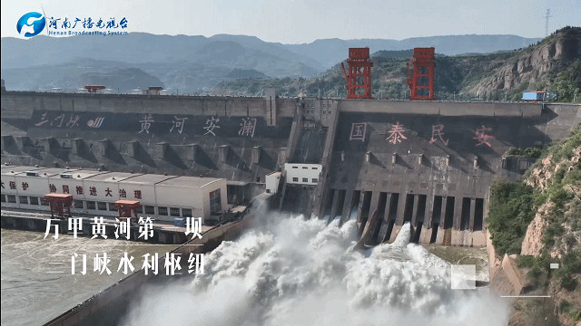 【行走河南·读懂中国】九曲黄河浪淘沙 天鹅蹁跹三门峡