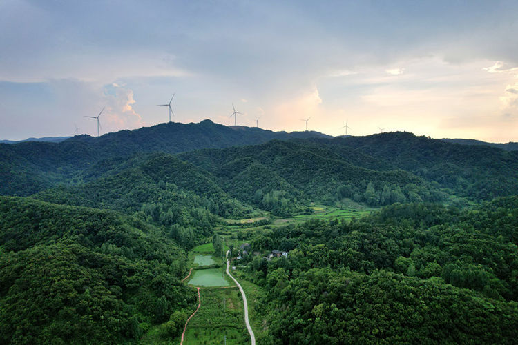 【行走河南·读懂中国】光山：念好乡村“山水经” 走好“环山振兴路”