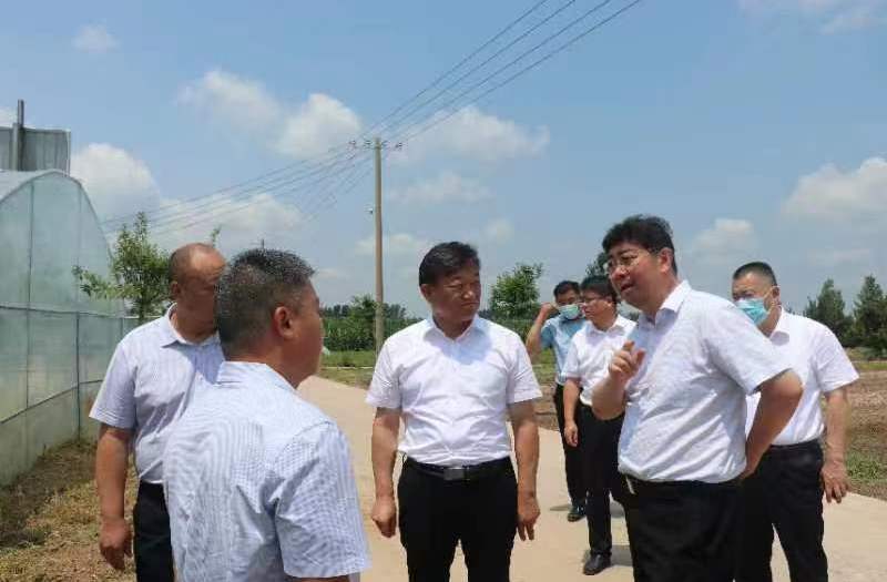 省民族宗教委主任張然到柘城縣遠(yuǎn)襄鎮(zhèn)東街村調(diào)研鄉(xiāng)村振興工作