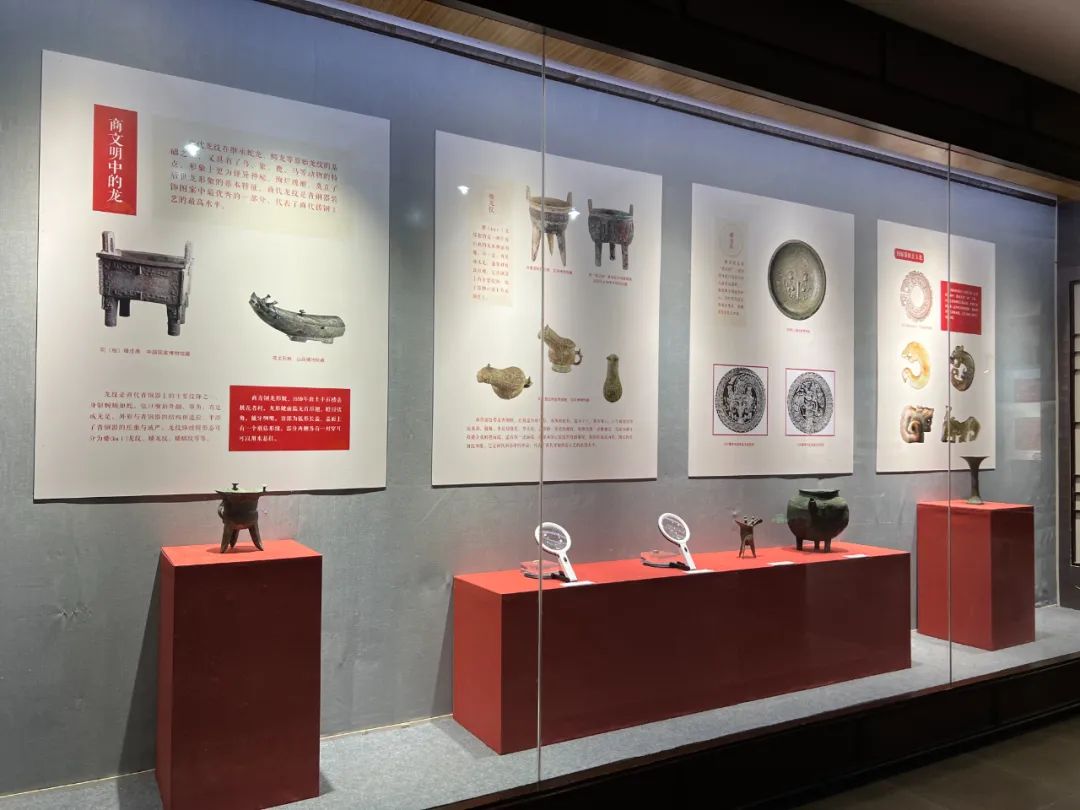 安阳博物馆推出“甲辰年龙文化展”