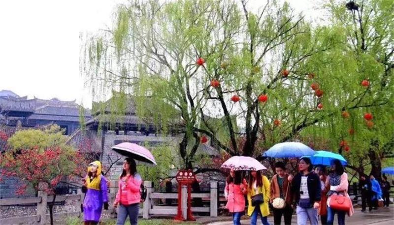 假期第二天，云台山壮美云海景观登上央视