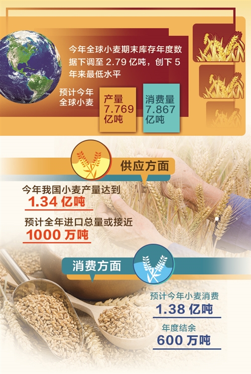 极端天气导致部分主产国产量受损、质量下降 全球小麦供需形势趋紧