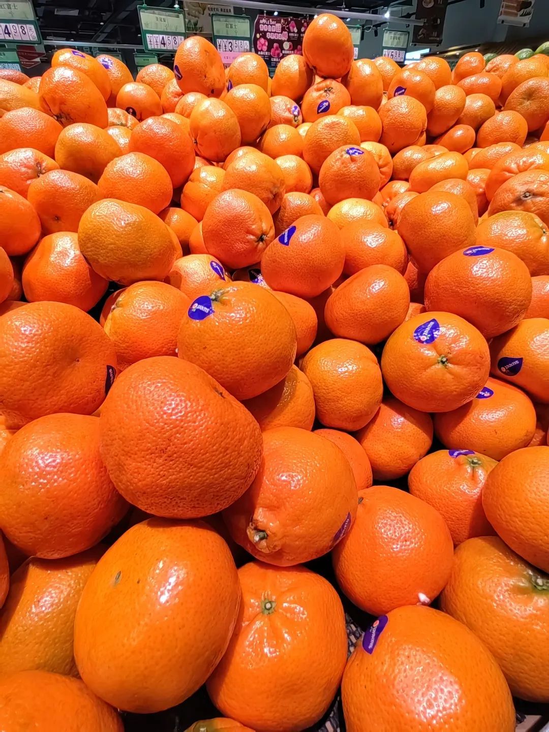 【行走河南·读懂中国】洛阳秋日限定美食请收藏