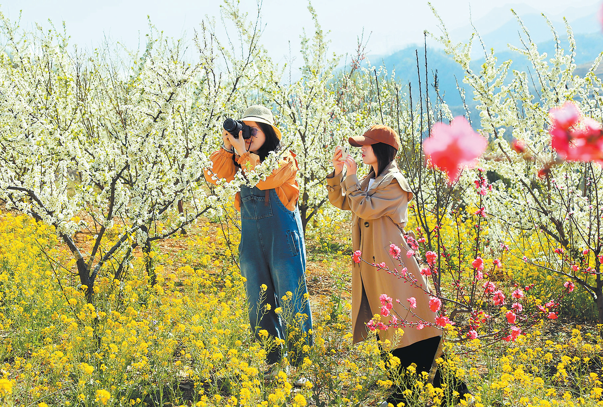 “赏花经济”秀出新花样