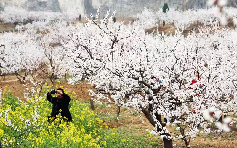 永城芒砀山：文旅融合为乡村振兴蓄势赋能