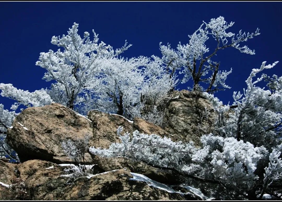 穿越时间长河，云赏老君山历年雪景