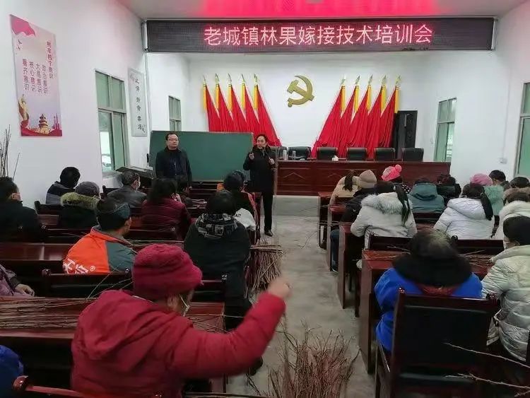 淅川：人勤不负好时光 果树管理正当时