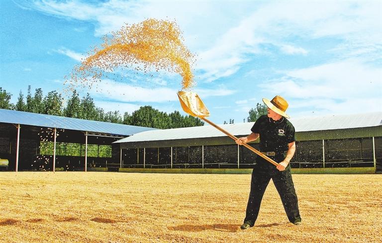 Ensuring safe storage of autumn grain