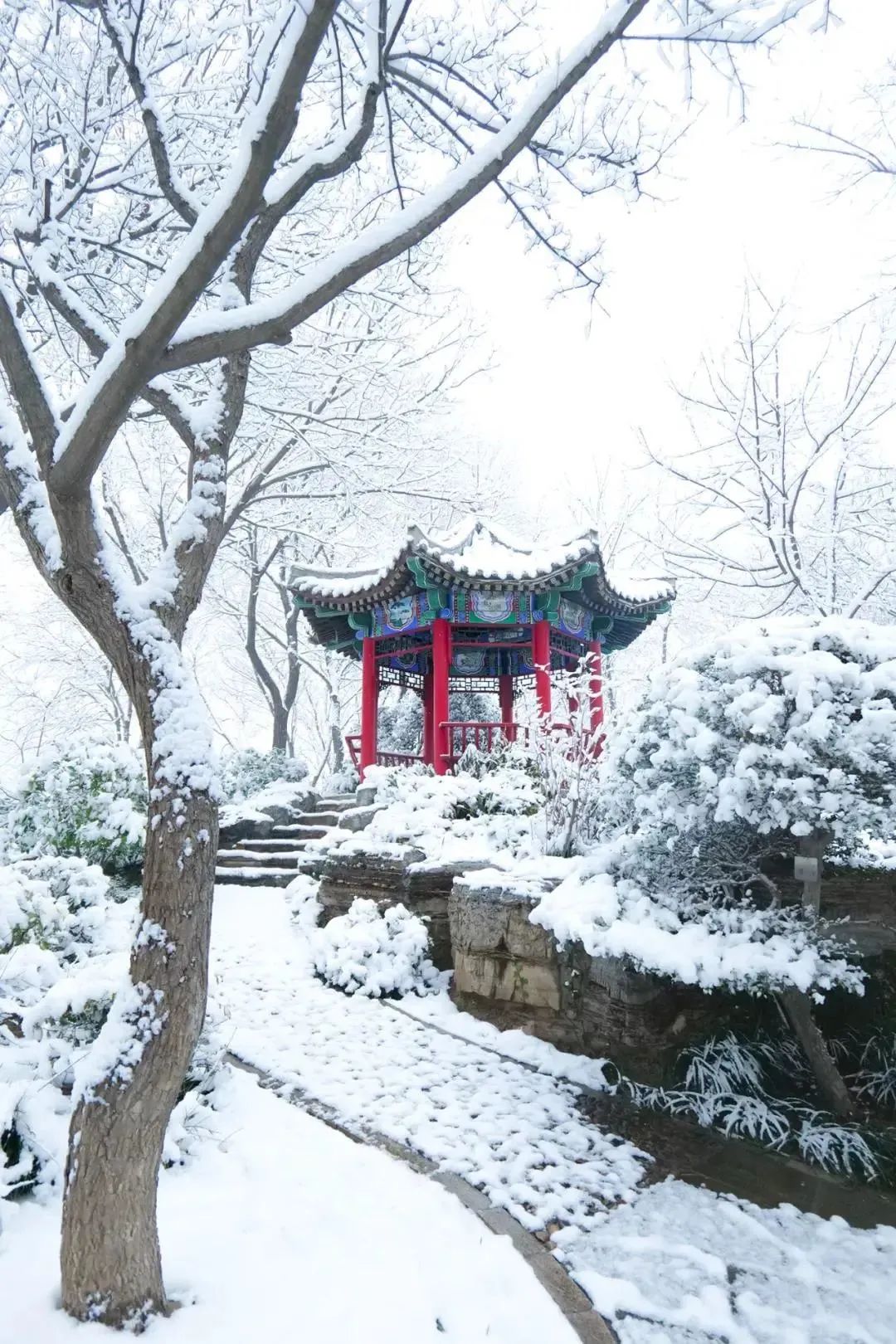 Ƶ“Ĳ嵥”