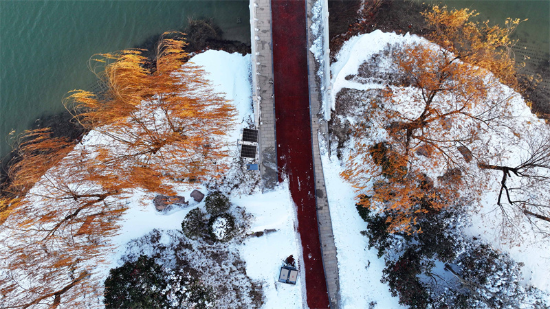 兰考：湿地雪韵美如画