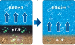 河南省生态水利技术工程研究中心