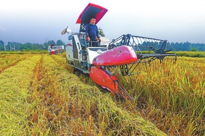把新技术成果“种”在田间